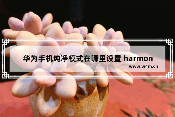 华为手机纯净模式在哪里设置 harmonyos系统桌面设置方法