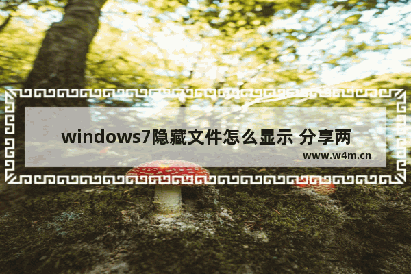 windows7隐藏文件怎么显示 分享两个简单有效的方法