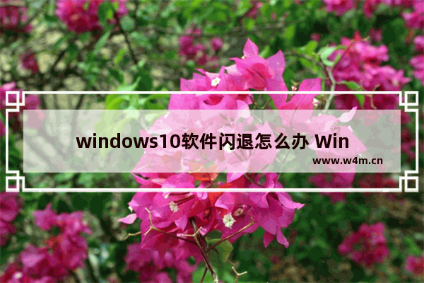 windows10软件闪退怎么办 Win10控制面板闪退的解决方法