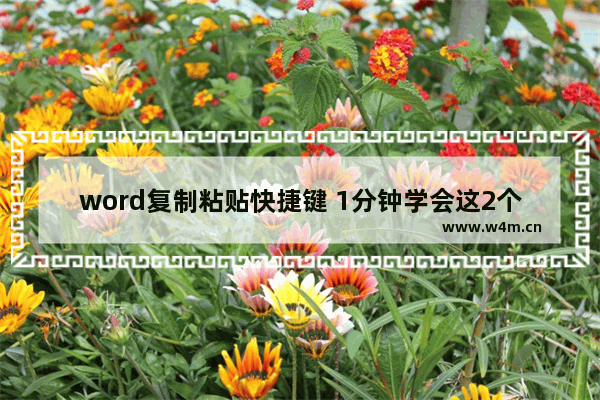 word复制粘贴快捷键 1分钟学会这2个套路