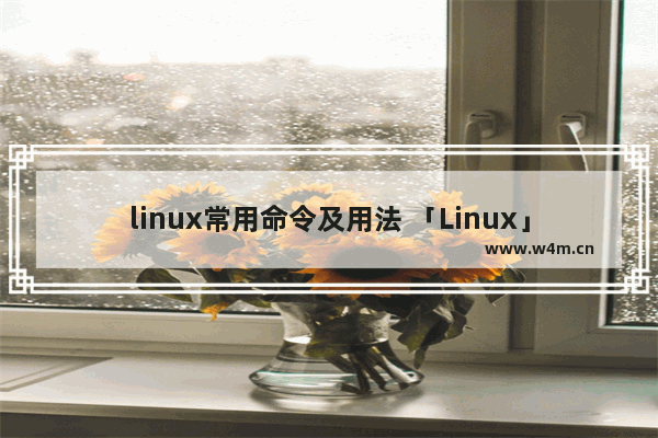 linux常用命令及用法 「Linux」linux常用基本命令