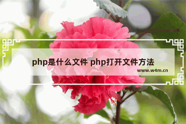 php是什么文件 php打开文件方法