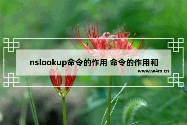 nslookup命令的作用 命令的作用和使用方法