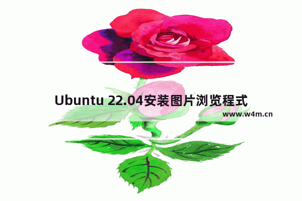 Ubuntu 22.04安装图片浏览程式XnViewMP