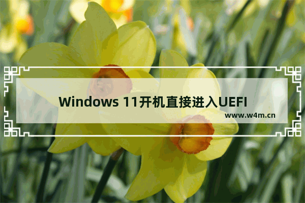 Windows 11开机直接进入UEFI模式