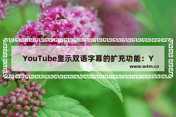 YouTube显示双语字幕的扩充功能：YouTube双字幕