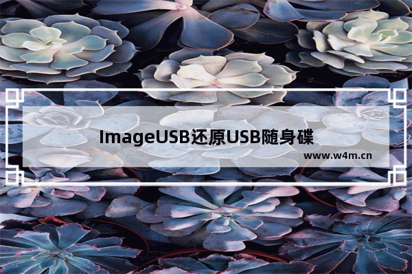 ImageUSB还原USB随身碟