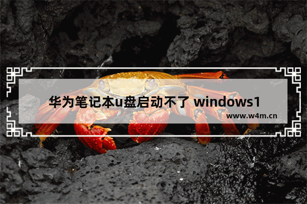 华为笔记本u盘启动不了 windows10电脑u盘重装系统步骤图解