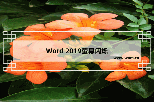 Word 2019萤幕闪烁