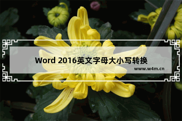 Word 2016英文字母大小写转换