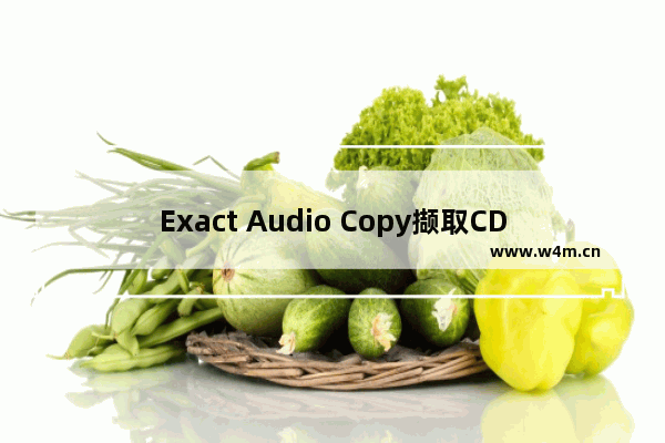 Exact Audio Copy撷取CD音乐为WAV