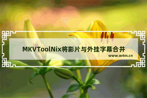 MKVToolNix将影片与外挂字幕合并