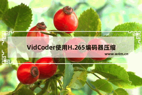 VidCoder使用H.265编码器压缩影片