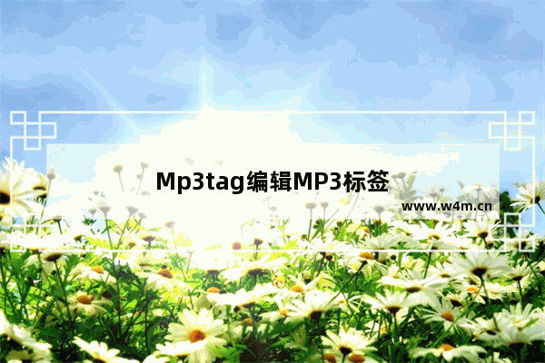 Mp3tag编辑MP3标签