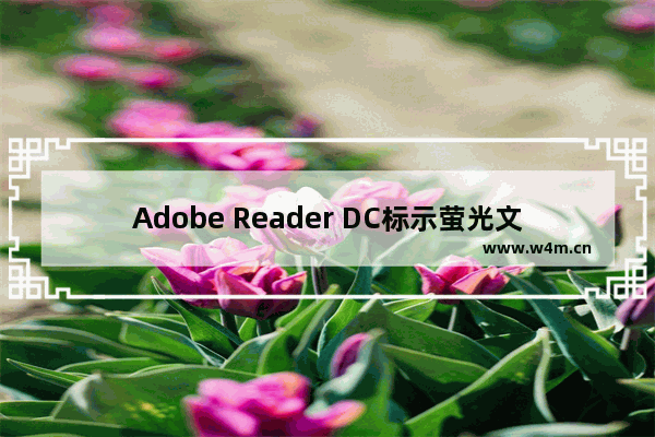 Adobe Reader DC标示萤光文字与新增注解