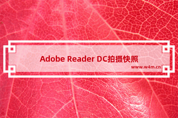 Adobe Reader DC拍摄快照