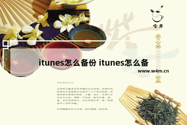 itunes怎么备份 itunes怎么备份图文教程