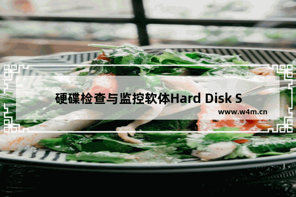 硬碟检查与监控软体Hard Disk Sentinel Standard限时免费