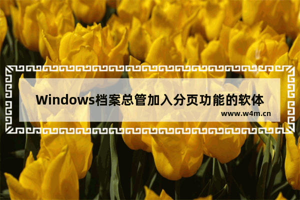 Windows档案总管加入分页功能的软体Clover 2