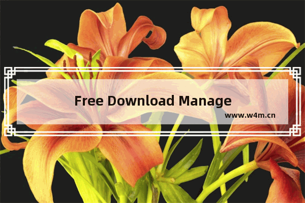 Free Download Manager设为Firefox预设的下载程式