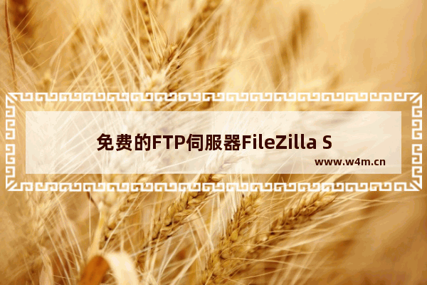 免费的FTP伺服器FileZilla Server