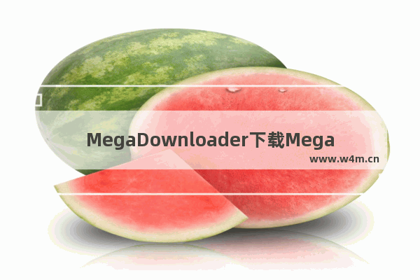 MegaDownloader下载Mega档案