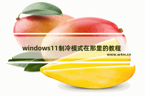 windows11制冷模式在那里的教程 windows11制冷模式在那里的方法