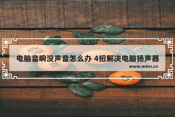 电脑音响没声音怎么办 4招解决电脑扬声器问题