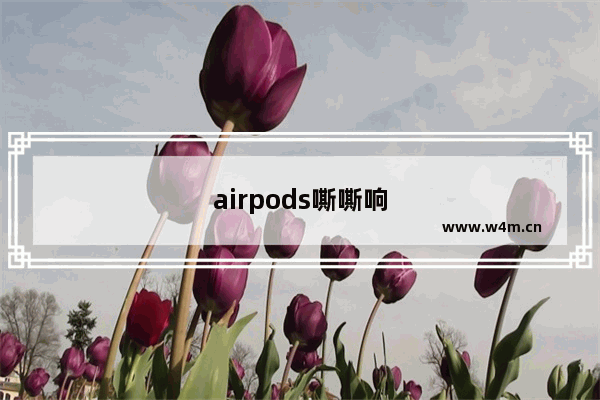 airpods嘶嘶响