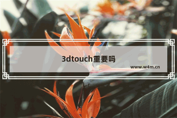 3dtouch重要吗