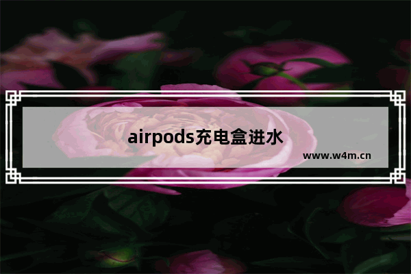 airpods充电盒进水