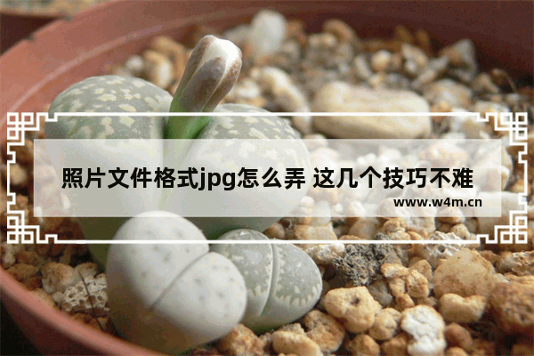 照片文件格式jpg怎么弄 这几个技巧不难学