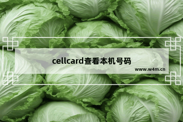 cellcard查看本机号码