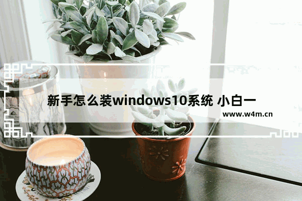 新手怎么装windows10系统 小白一键重装系统windows10教程