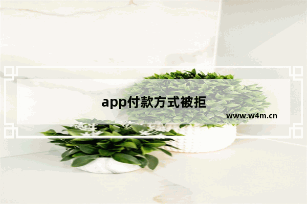 app付款方式被拒