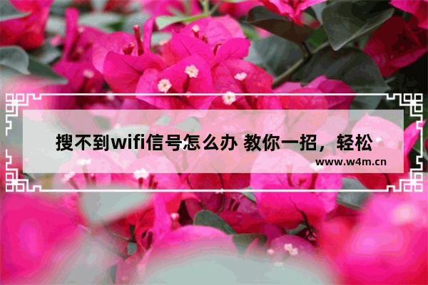 搜不到wifi信号怎么办 教你一招，轻松搞定