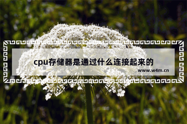 cpu存储器是通过什么连接起来的