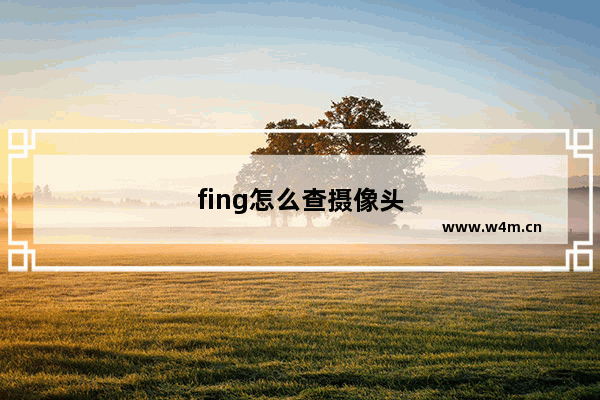 fing怎么查摄像头