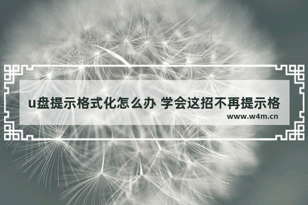 u盘提示格式化怎么办 学会这招不再提示格式化