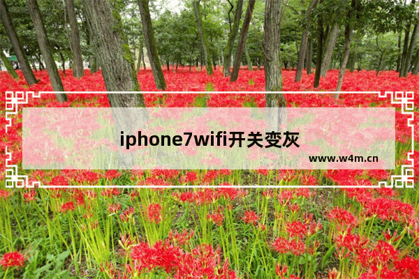 iphone7wifi开关变灰