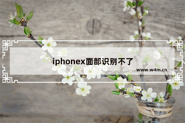 iphonex面部识别不了