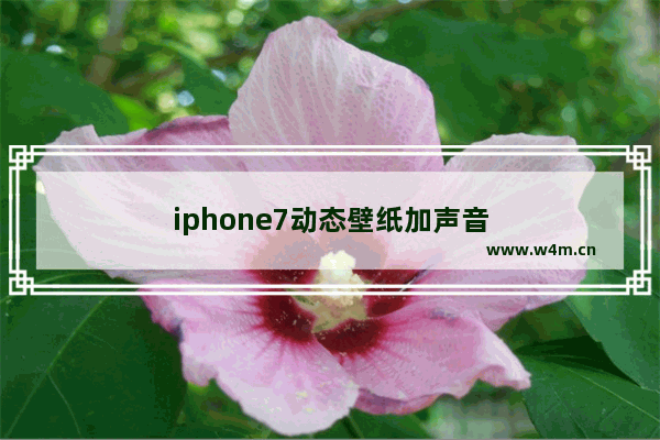 iphone7动态壁纸加声音