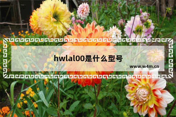 hwlal00是什么型号