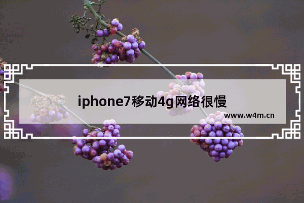 iphone7移动4g网络很慢