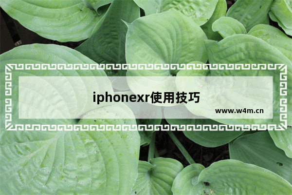 iphonexr使用技巧