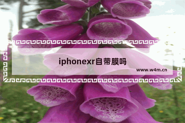 iphonexr自带膜吗