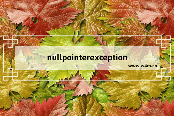 nullpointerexception