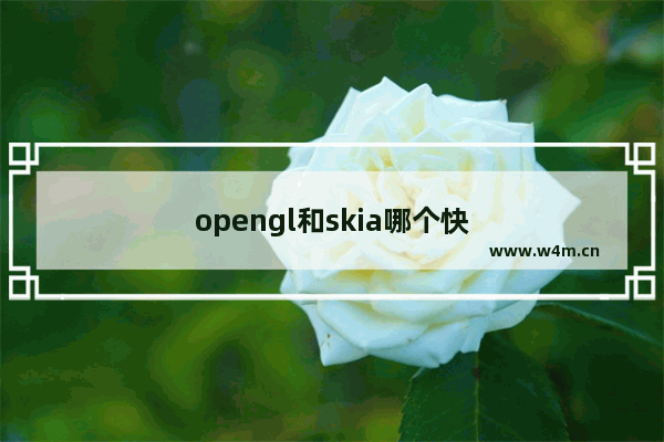 opengl和skia哪个快