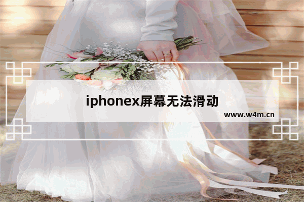 iphonex屏幕无法滑动