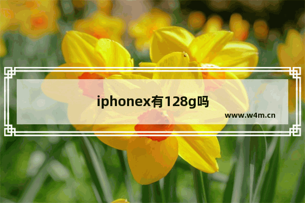 iphonex有128g吗